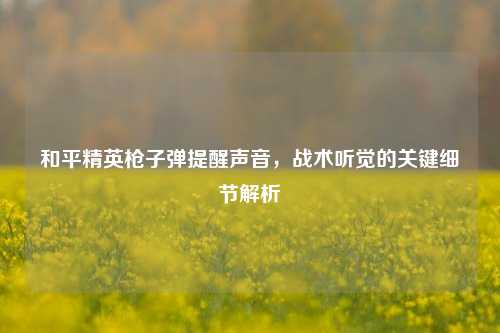 和平精英枪子弹提醒声音,战术听觉的关键细节解析