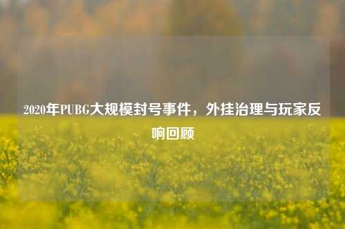 2020年PUBG大规模封号事件,外挂治理与玩家反响回顾