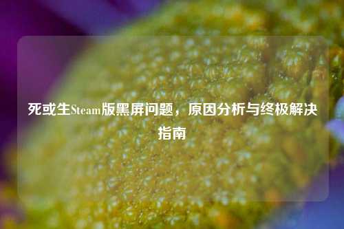 死或生Steam版黑屏问题,原因分析与终极解决指南