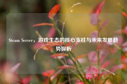 Steam Server,游戏生态的核心支柱与未来发展趋势探析