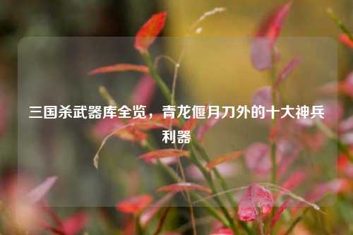 三国杀武器库全览,青龙偃月刀外的十大神兵利器