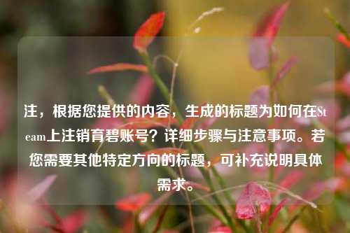 注,根据您提供的内容,生成的标题为如何在Steam上注销育碧账号?详细步骤与注意事项。若您需要其他特定方向的标题,可补充说明具体需求。