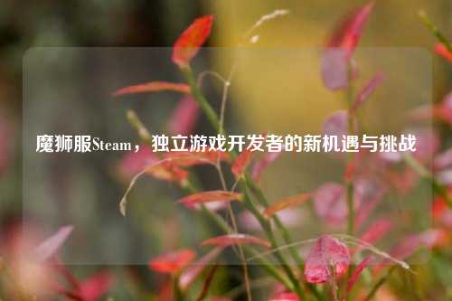 魔狮服Steam,独立游戏开发者的新机遇与挑战