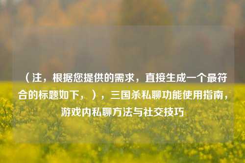 (注,根据您提供的需求,直接生成一个最符合的标题如下,),三国杀私聊功能使用指南,游戏内私聊方法与社交技巧