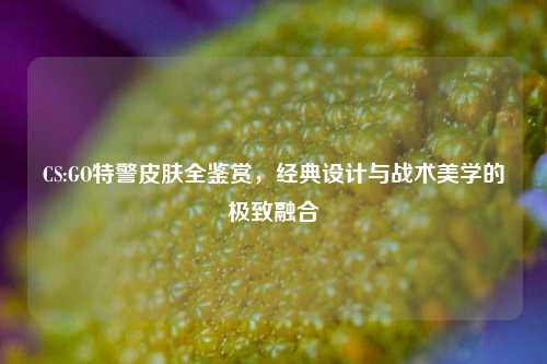 CS:GO特警皮肤全鉴赏,经典设计与战术美学的极致融合