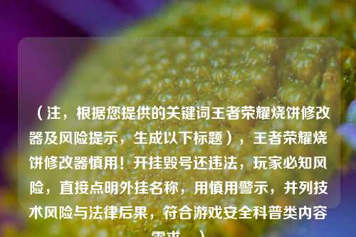 (注,根据您提供的关键词王者荣耀烧饼修改器及风险提示,生成以下标题),王者荣耀烧饼修改器慎用!开挂毁号还违法,玩家必知风险,直接点明外挂名称,用慎用警示,并列技术风险与法律后果,符合游戏安全科普类内容需求。)