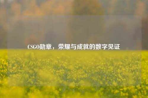 CSGO勋章,荣耀与成就的数字见证