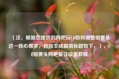 (注,根据您提供的网吧玩CF如何调整烟雾头这一核心需求,直接生成最简标题如下,),CF烟雾头网吧最佳设置教程
