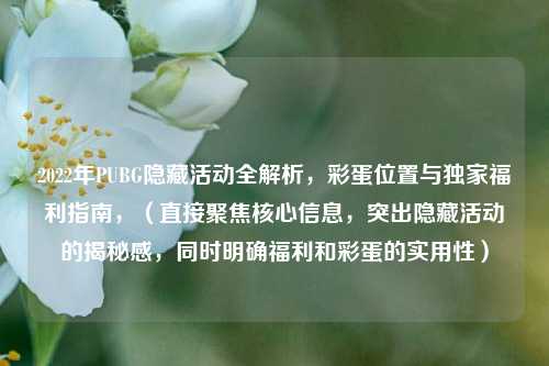2022年PUBG隐藏活动全解析,彩蛋位置与独家福利指南,(直接聚焦核心信息,突出隐藏活动的揭秘感,同时明确福利和彩蛋的实用性)