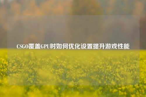 CSGO覆盖GPU时如何优化设置提升游戏性能