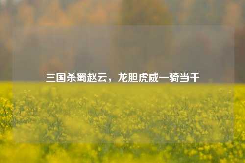 三国杀蜀赵云,龙胆虎威一骑当千