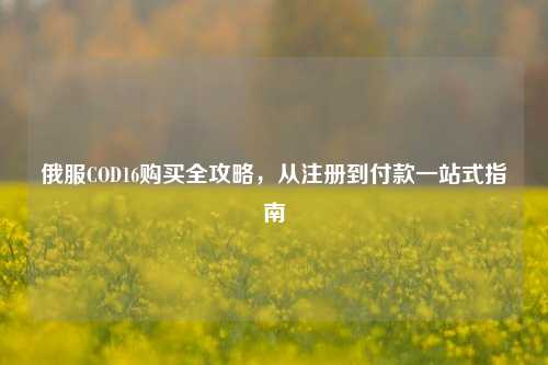 俄服COD16购买全攻略,从注册到付款一站式指南
