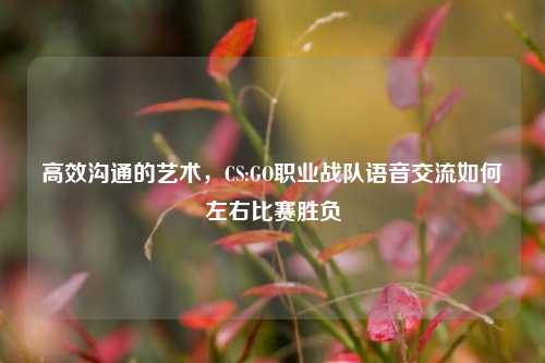 高效沟通的艺术,CS:GO职业战队语音交流如何左右比赛胜负