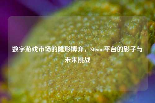 数字游戏市场的隐形博弈,Steam平台的影子与未来挑战