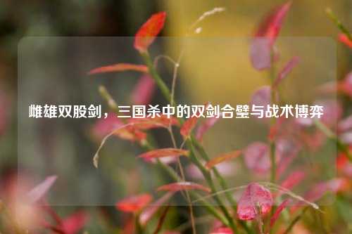 雌雄双股剑,三国杀中的双剑合璧与战术博弈