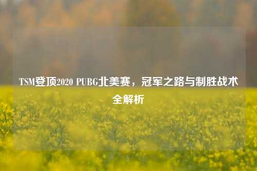 TSM登顶2020 PUBG北美赛,冠军之路与制胜战术全解析