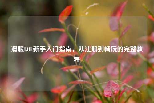澳服LOL新手入门指南,从注册到畅玩的完整教程