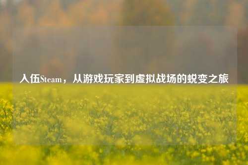 入伍Steam,从游戏玩家到虚拟战场的蜕变之旅