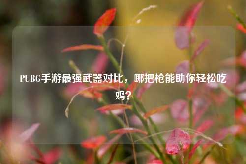 PUBG手游最强武器对比,哪把枪能助你轻松吃鸡?