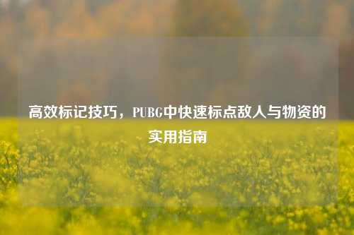 高效标记技巧,PUBG中快速标点敌人与物资的实用指南