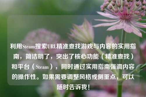 利用Steam搜索URL精准查找游戏与内容的实用指南,简洁明了,突出了核心功能(精准查找)和平台(Steam),同时通过实用指南强调内容的操作性。如果需要调整风格或侧重点,可以随时告诉我!