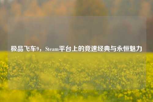 极品飞车9,Steam平台上的竞速经典与永恒魅力