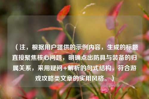 (注,根据用户提供的示例内容,生成的标题直接聚焦核心问题,明确点出防具与装备的归属关系,采用疑问+解析的句式结构,符合游戏攻略类文章的实用风格。)
