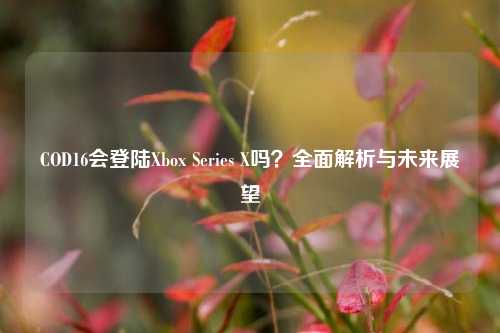 COD16会登陆Xbox Series X吗?全面解析与未来展望