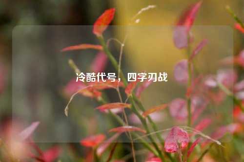冷酷代号,四字刃战