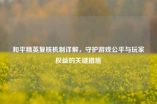 和平精英复核机制详解,守护游戏公平与玩家权益的关键措施