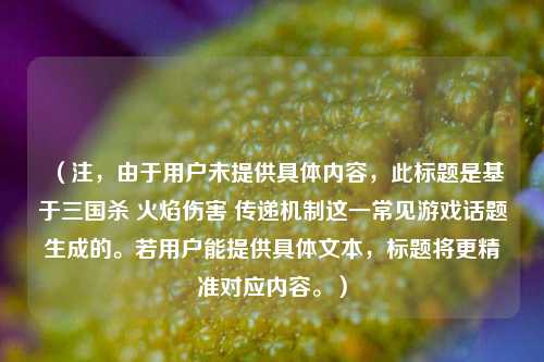 (注,由于用户未提供具体内容,此标题是基于三国杀 火焰伤害 传递机制这一常见游戏话题生成的。若用户能提供具体文本,标题将更精准对应内容。)