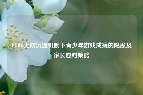 PUBG无防沉迷机制下青少年游戏成瘾的隐患及家长应对策略