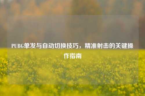 PUBG单发与自动切换技巧,精准射击的关键操作指南