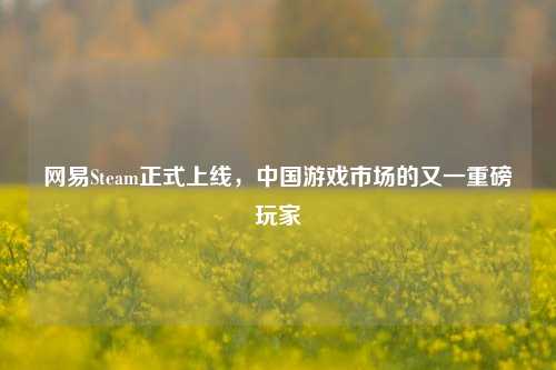 网易Steam正式上线,中国游戏市场的又一重磅玩家