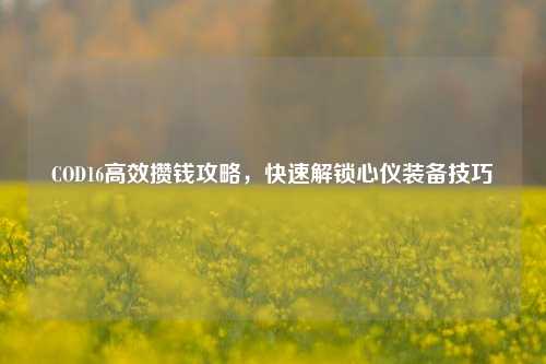COD16高效攒钱攻略,快速解锁心仪装备技巧
