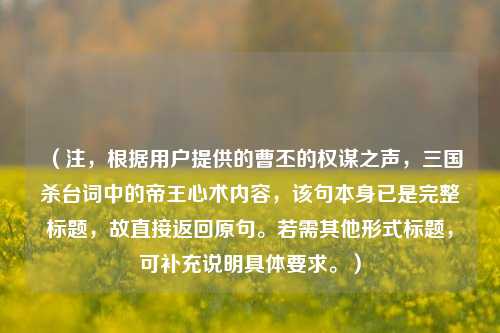 (注,根据用户提供的曹丕的权谋之声,三国杀台词中的帝王心术内容,该句本身已是完整标题,故直接返回原句。若需其他形式标题,可补充说明具体要求。)