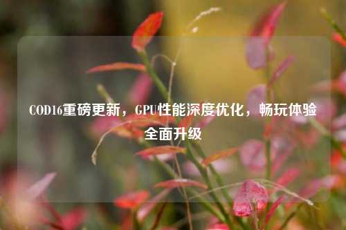 COD16重磅更新,GPU性能深度优化,畅玩体验全面升级