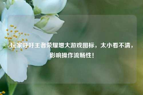 玩家呼吁王者荣耀增大游戏图标,太小看不清,影响操作流畅性!