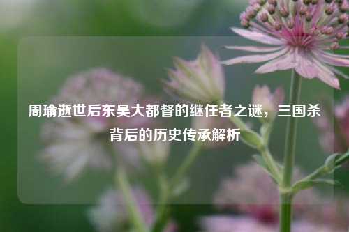 周瑜逝世后东吴大都督的继任者之谜,三国杀背后的历史传承解析