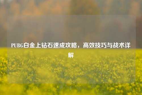 PUBG白金上钻石速成攻略,高效技巧与战术详解