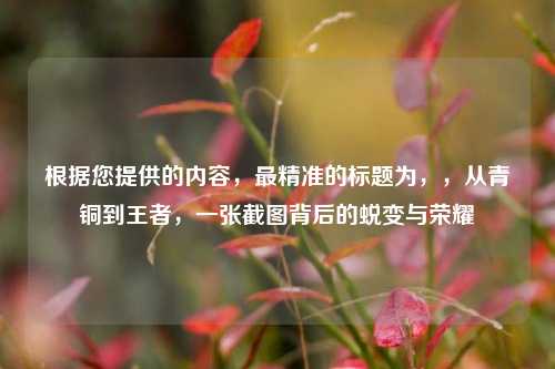 根据您提供的内容,最精准的标题为,,从青铜到王者,一张截图背后的蜕变与荣耀
