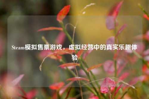 Steam模拟售票游戏,虚拟经营中的真实乐趣体验