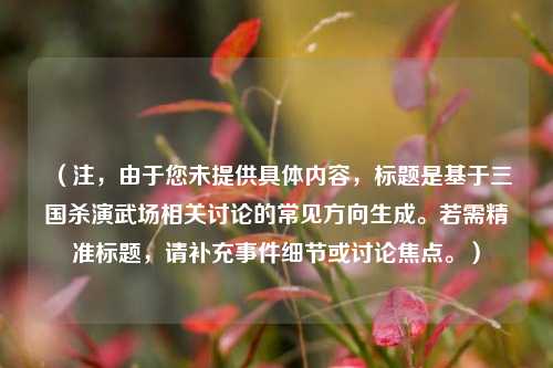(注,由于您未提供具体内容,标题是基于三国杀演武场相关讨论的常见方向生成。若需精准标题,请补充事件细节或讨论焦点。)