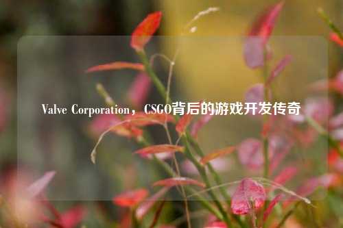 Valve Corporation,CSGO背后的游戏开发传奇