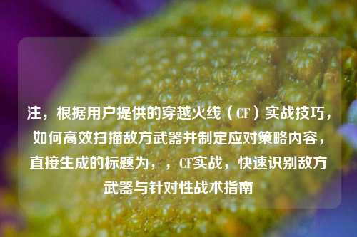 注,根据用户提供的穿越火线(CF)实战技巧,如何高效扫描敌方武器并制定应对策略内容,直接生成的标题为,,CF实战,快速识别敌方武器与针对性战术指南