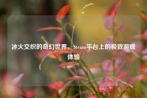 冰火交织的奇幻世界,Steam平台上的极致游戏体验