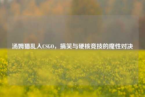 汤姆猫乱入CSGO,搞笑与硬核竞技的魔性对决