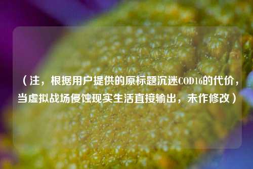 (注,根据用户提供的原标题沉迷COD16的代价,当虚拟战场侵蚀现实生活直接输出,未作修改)
