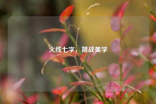 火线七字,简战美学