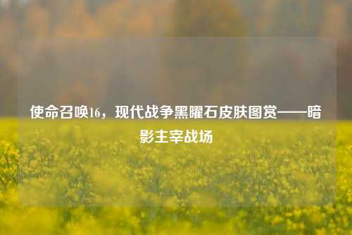使命召唤16,现代战争黑曜石皮肤图赏——暗影主宰战场